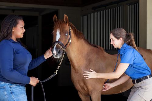 HarbourRidge--160